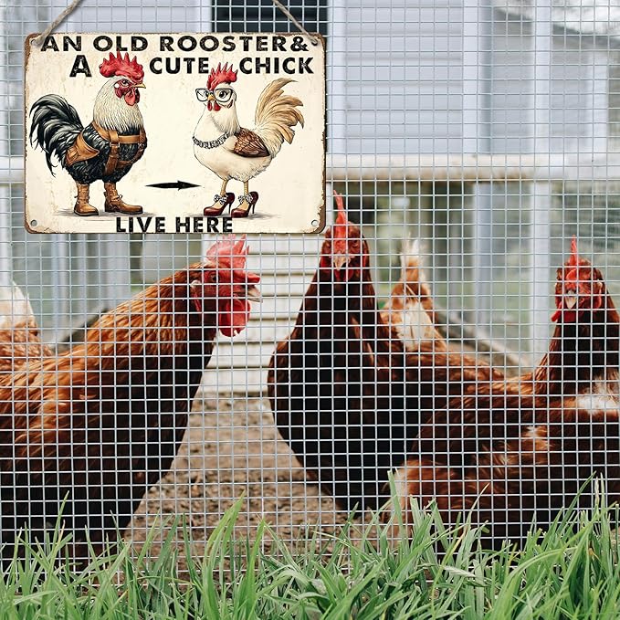 PEACHGARDEN Funny Chicken Metal Sign An Old Rooster A Cute Chick Live Here Vintage Tin Sign for Home Farm Chicken Coop Farmhouse Kicthen Garden Decor 8X12inch