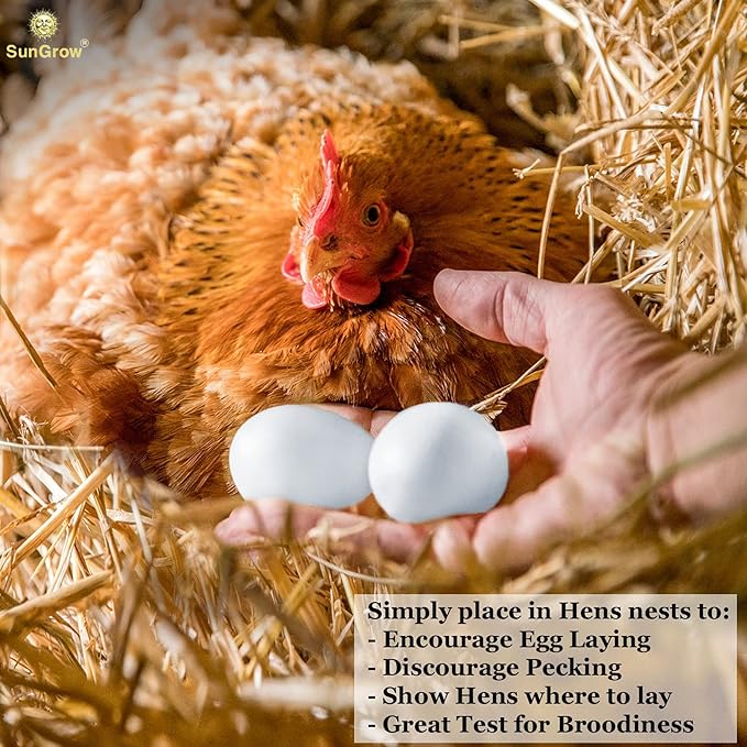 SunGrow Fake Wooden Eggs to Train Birds from Laying in The Nesting Boxes & to Stop from Eating Own Eggs, White Color, 5 Pack Suitable for Chicken and Duck