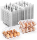 65 Pack Plastic Egg Cartons Cheap Bulk,1 Dozen Clear Empty Egg Cartons for Chicken Eggs 3x4 Grids,Reusable Egg Containers for Family, Chicken Farm, Markets Display