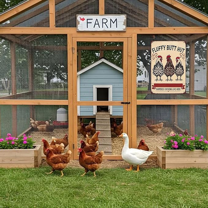 Funny Metal Chicken Sign, Tin Novelty Decor for Coop, Kitchen, Office, 8x12 Inch Farmhouse Humor, Gift for Poultry Farmers