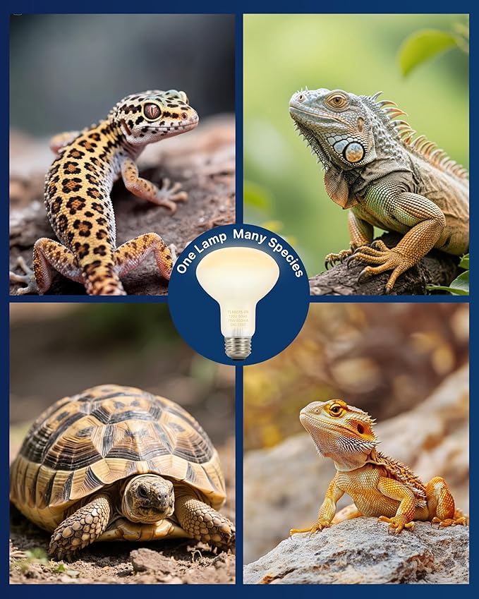 FLSNT 2 Pack Reptile Heat Lamp Bulbs, 75W Basking Light for Amphibian, Bearded Dragon, Lizard, Tortoise, Gecko