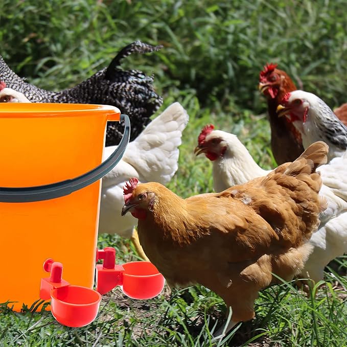 Pack 15 Chicken Waterer Cups,Chicken Feeder Cup for Chicken Duck Turkey Rabbit,3/8 Inch Thread Automatic Filling,Solution for Poultry Watering.