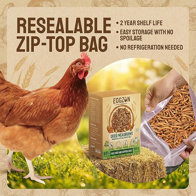 Dried Mealworms,10 lbs(2x5lb Bags),100% Natural Non-GMO, High Protein,All-Natural Chemical-Free Feed for Chickens, Ducks, Reptiles, Birds Food, Hedgehogs & Bearded Dragons, Insect Larvae