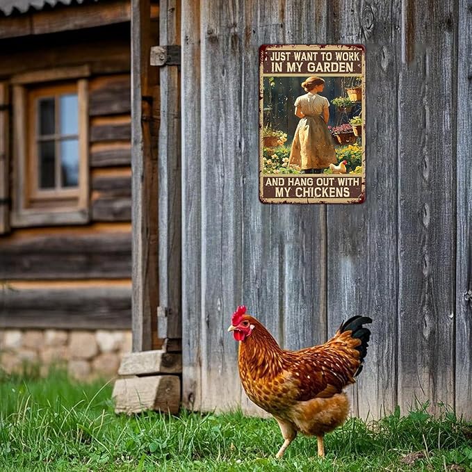 Funny Chicken Signs I Just Want To Work In My Garden And Hang Out With My Chickens Aluminium Sign Metal Chicken Signs Decor Ktichen Farm Are Wall 12x8 Inch Vintage Chicken Signs Metal Poster
