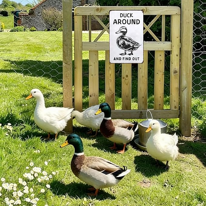 Metal Signs Duck Around And Find Out Sign Vintage Aluminum Tin Sign for Home Farmhouse Farm Wall Decor 12x8 Inch