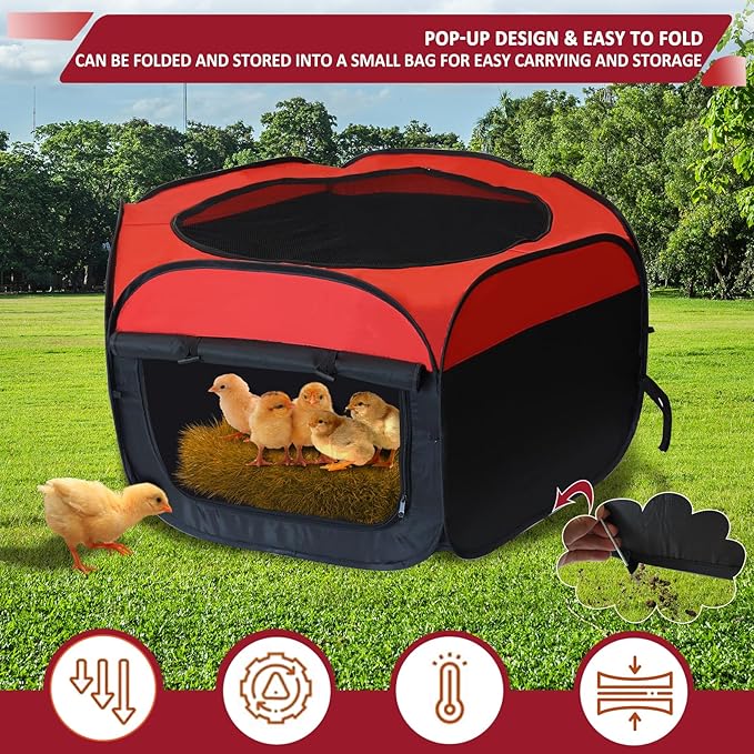 Chick Brooder Box, Foldable Chicken Brooder Box for Chicks, Pop-Up Baby Chicken Cage Supplies Brooding Up to 15 Baby Chick, Duck and Quail, Starter Kit with Storage Bag, Fixed Pegs, Waterproof Mat