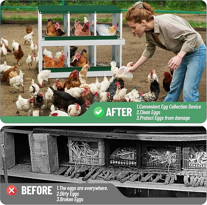 Metal Chicken Nesting Boxes, Heavy-Duty Galvanized Steel Egg Laying Box with 6 Compartments, Rustproof, Easy to Install & Clean, Wall-Mountable Design for Poultry Coops- Green Without Stand