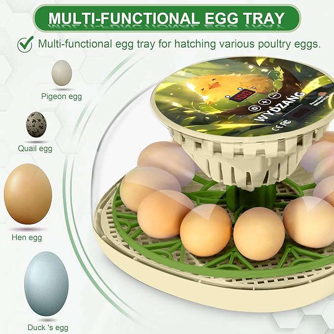 Smart Chicken Incubators for Hatching Eggs with Automatic Turner Small Poultry Duck Quail 12 Egg Incubator Temperature Control Display Hatcher Machine (Chirvy)