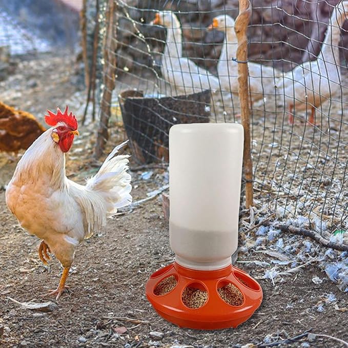 Chick Feeder and Waterer Supplies Farm Chicken Coop Accessories Easy Use Hen Feeding Equipment Starter Kit Red, 300 g