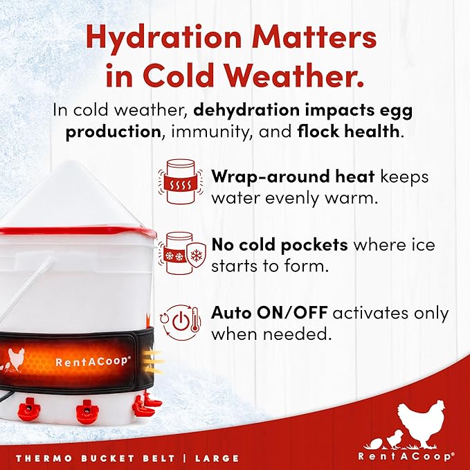 RentACoop Heated Chicken Waterer Belt for Winter, Thermo Bucket Heater Strap LG with Insulated Wrap for 2-5 Gal, 40W Energy Efficient, Safe to -10°F, Auto Thermostat