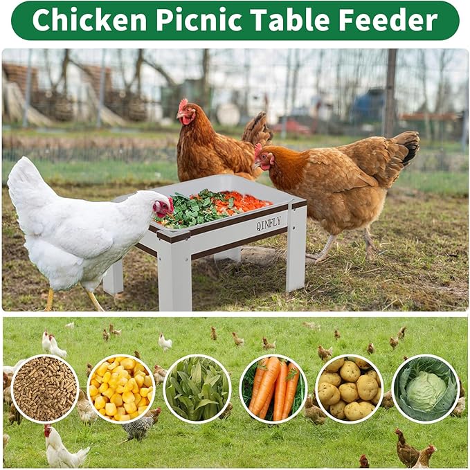 Large Chicken Picnic Table Feeder No Waste with Removable Plastic Tray,Chicken Coop Accessories Must Haves,Poultry Feeder,Chicken Food Dispenser