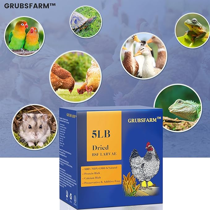 Premium Dried Black Soldier Fly Larvae for Chickens 5LBS - Superior to Mealworms - 85X More Calcium Than Meal Worms - Molting & Laying Hens Supplement - Non-GMO BSF Larvae Treats for Ducks