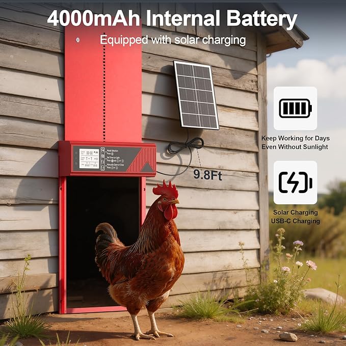 Larger Size Automatic Chicken Coop Door Solar Powered, 4000MAh Internal Battery Automatic Coop Door Anti-hit Side Charging Port, Automatic Chicken Door with Timer, Light Sensor 4Modes & Remote Control