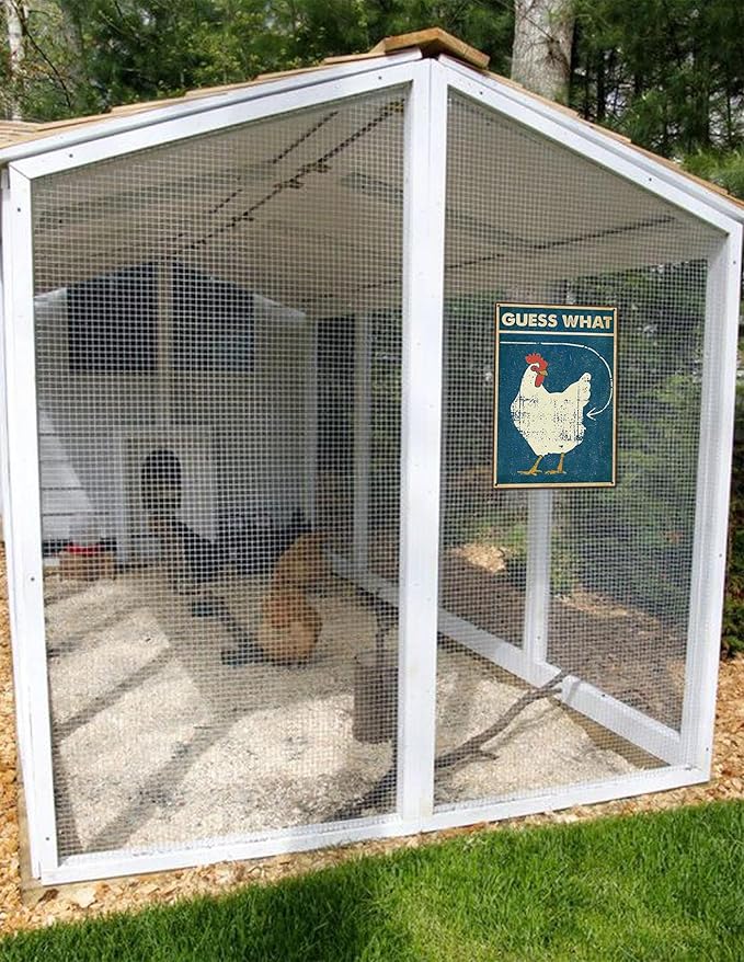 Funny Chicken Decor - "Guess What" Metal Sign for Chicken Coop and Kitchen Decor, 12" * 8" (260)