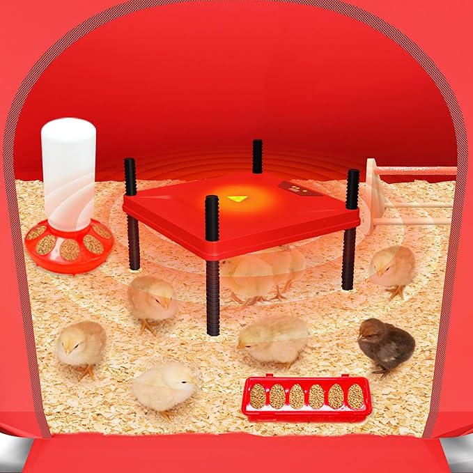 All-in-One Chicken Brooder Box for Chicks Starter Kit with Heater, Perch, Sawdust, Feeder & Waterer, Large Reinforced Stainless Steel Frame Poultry Brooder for Up to 30 Baby Chicks, Ducks & Quail