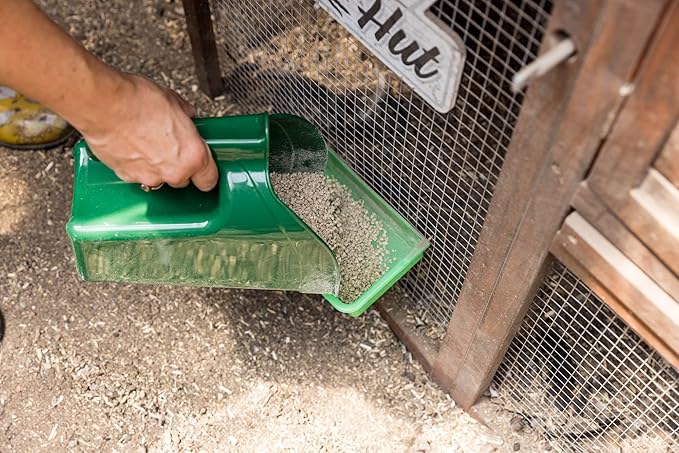 My Favorite Chicken Green Feed Scoop, 2.5L Capacity, Durable Plastic with Ergonomic Handle, for Pellets, Crumbles, Mash, Grains, Poultry Supplements