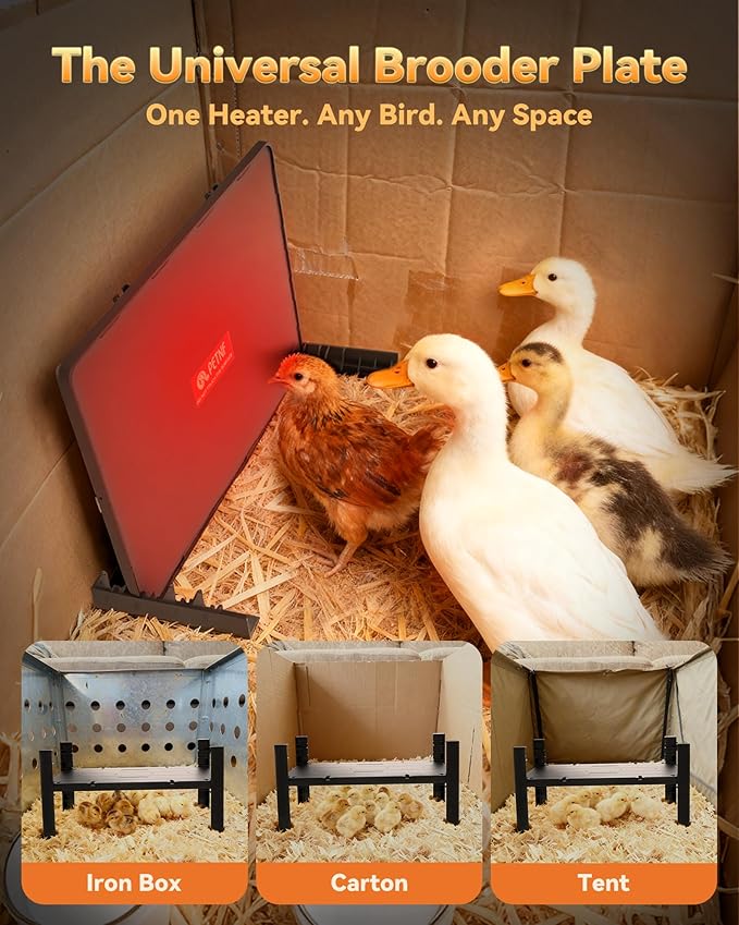 PETNF Chicken Coop Heater & Chick Heat Plate - 11.8x15.8in for Hen Warmth & 10-20 Chicks, 3-Way Adjustable Stand, 95-167°F 140W Efficient Heating, Durable Safe for Brooders/Coops, Farmers & Pet Owners
