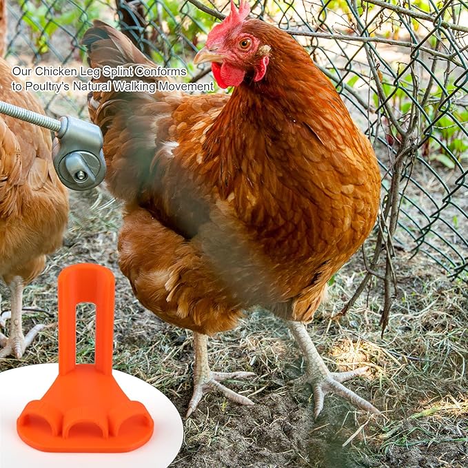 4-Piece Poultry Leg Splint Set with Holes- Professional Bumble Foot Treatment for Chickens & Duck for Fractures,Curled Toes,Osteoarthritis,Complete Bumblefoot Treatment Solution for All Growth Stages