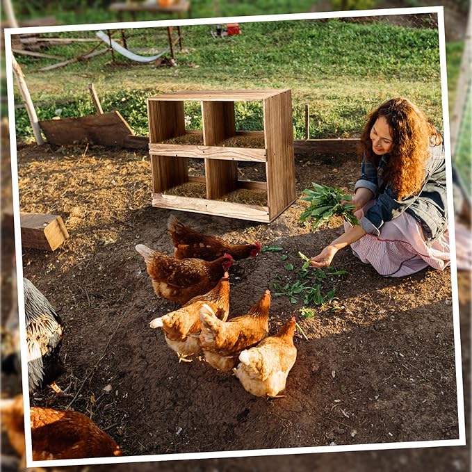 Chicken Nesting Boxes 4 Compartment Wooden Chicken Laying Boxes for Hens Ducks Poultry Easy Egg Collection