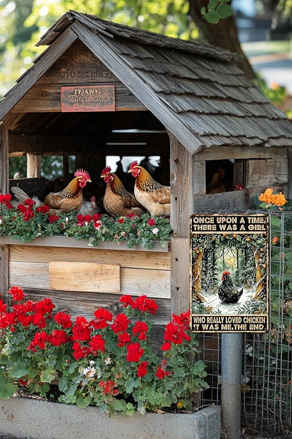 Chicken Sign Tin Metal Wall Art Gift For Chicken Lovers Once Upon A Time There Was A Girl Who Really Loved Chicken Decor 12x8 Inch