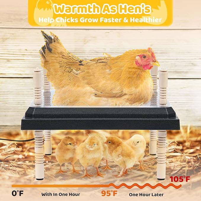 Brooder Heating Plate for Chicks Adjustable: with Bonus 12x12 Warmer with Easy- Cleaning Plate 22W Poultry Coop Heater for 15 Baby Chicks