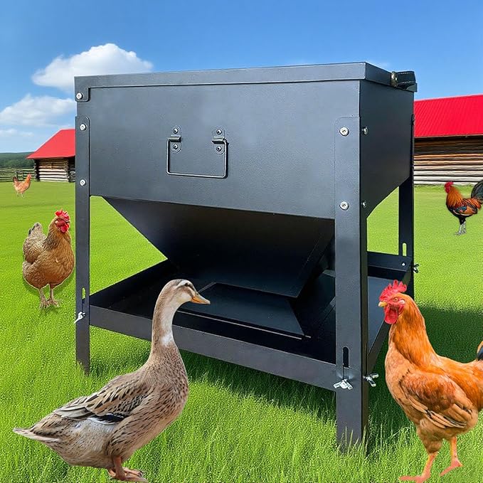 Large Capacity Automatic Chicken Feeder 80lbs Metal Poultry Feeder Set,with Latch & Handle Suitable for Chickens, Ducks, Turkeys（Adjustable Height）