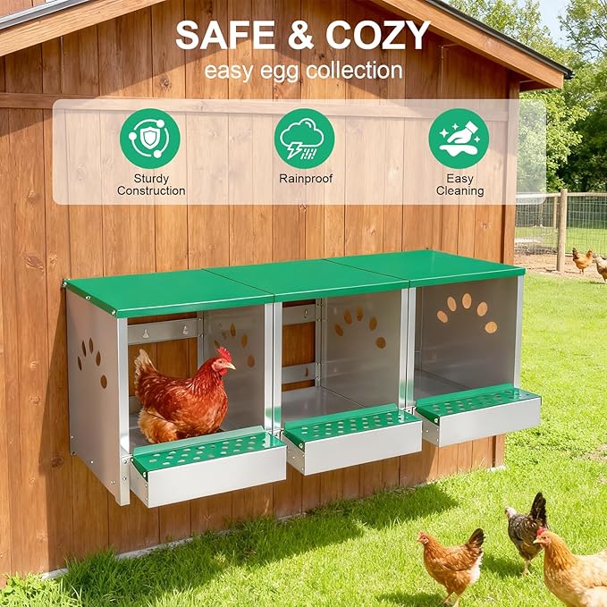 Chicken Nesting Box 1 Compartments - Wall Mount Metal Egg Laying Nest Box for Chicken Coop, Easy to Assemble & Versatile Use for Hens, Ducks, Chickens