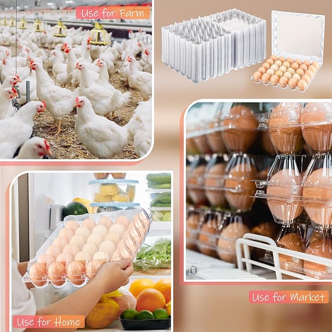 Zubebe 200 Pieces Clear Egg Cartons Plastic Egg Cartons Bulk Empty Chicken Egg Tray Holds Securely Clear Blank Egg Cartons for Chicken Farm Business Market Home Refrigerator Storage(5 x 6 Grids)