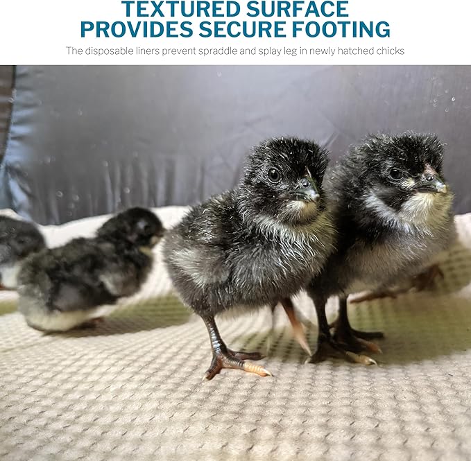 Incubator Warehouse Insta Brooder™ Enclosed Brooder Pen for Hatchlings