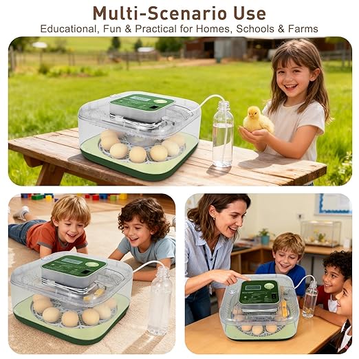 4th Gen – 12 Egg Fully Automatic Incubator, 2026 Upgraded Design, Intelligent Sensor-Based Humidity & Temp Control, Custom Hatch Days, Adjustable Auto Turnn with Auto-Stop, 360° View, Alarm, Candler