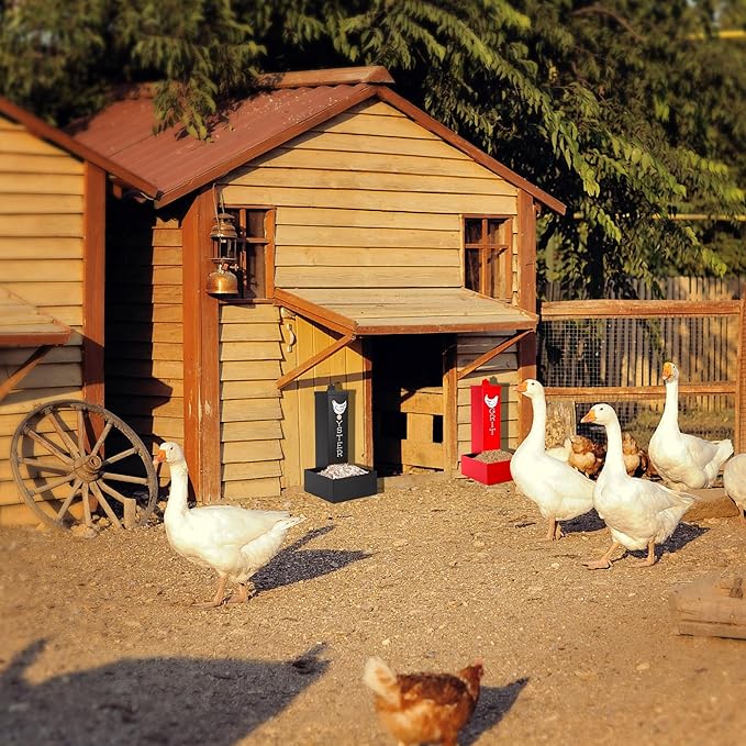 Metal Chicken Grit Feeder and Oyster Shell Feeder Combo, Hanging Gravity Poultry Feeders with Drain Holes, 4.5lb Capacity, Coop Accessories Supplies for Chickens, Ducks, Geese