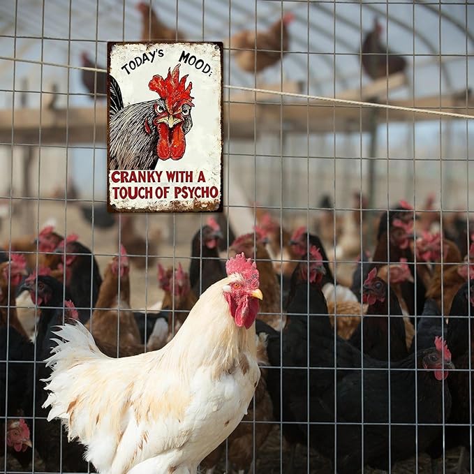 Funny Chicken Coop Signs - Vintage Sign Metal Tin Today's Mood For Chicken Lovers Gifts Outdoor Home Farm Wall Art Decor 8x12 Inch