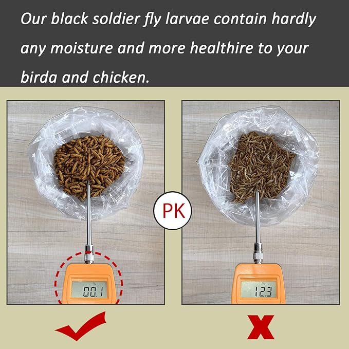 Black Soldier Fly Larvaeis,10LB 100% Natural Large Size No Moisture,Mealworm for Birds Chickens Hedgehog Hamster Fish Reptile Turtles