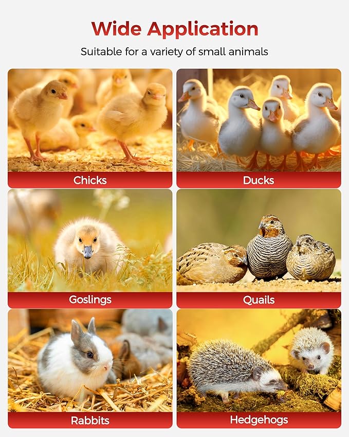 Brooder Box for Chick, Large Brooder for 15 Chicks, Breathable Mesh Ventilation, Waterproof Removable Bottom Mat,Foldable, Pop-up,No Assembly Required