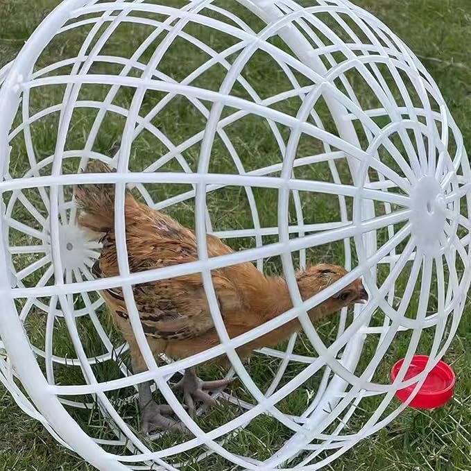 Chicken Balls Cage Set, ABS 3 Pieces Movable, Outside Poultry Habitat, Bird Feeding Supplies, Yard Equipment, Small Animal Pen, Pet Accessories, Garden