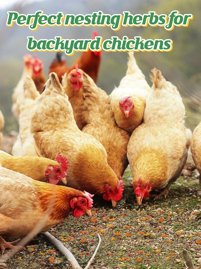 Chicken Nesting Herbs for Outdoor Indoor Chicken Coop - 20OZ Natural Egg-Laying Box Feed Herbs for Freshening Bedding Promote Egg Production