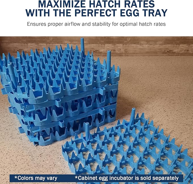 Universal Chicken Egg Trays (6 pack)