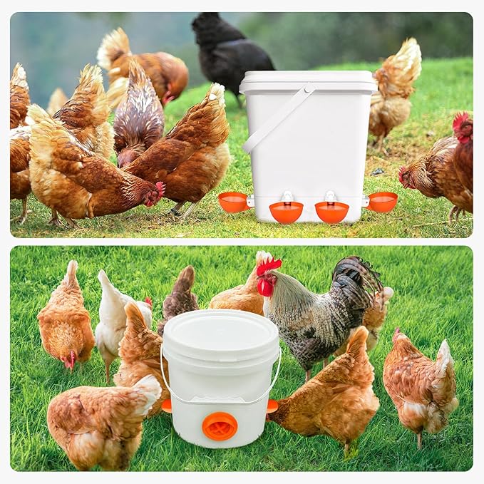 Chicken Feeder No Waste Automatic Poultry Feeder Ports, DIY Chicken Feeder and Waterer Set, 6 Ports and 6 Chicken Water Cups for Buckets, Barrels, Bins, Troughs