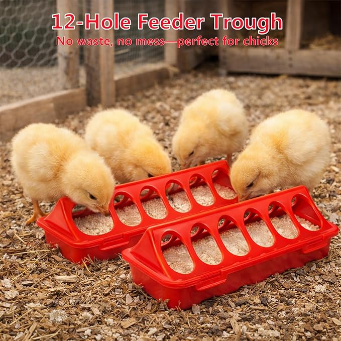 Chicken Brooder Box for Chick Starter Kit - 7 Pcs Chicken Feeder and Waterer Set with 75W Heat Lamp, Perch Stand to 15 Chicks, Duck, Quail
