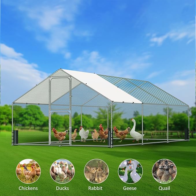 Large Metal Chicken Coop, Walk-in Chicken Run with Feeding Door, Security Lock and Cover, Outdoor Duck/Rabbit Cage Poultry Pen for Backyard, Farm, Yard (Silver - Spire Roof, 19.7 x 9.8 x 6.5 FT)