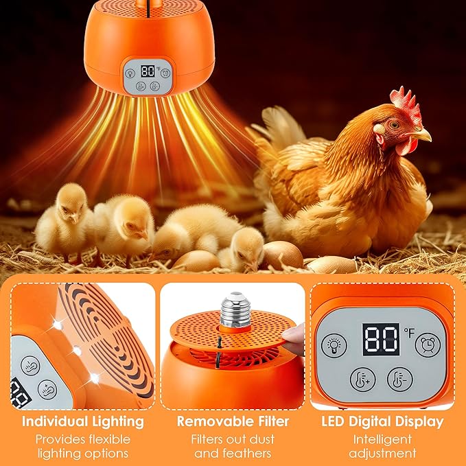 Enhon Chicken Coop Heater, Timing Heat Lamp for Chickens, Smart Temperature Control Chicken Brooder Heater, 5 Ft Long Cable Heating Lamp for Duck Dog Cats, No Remote