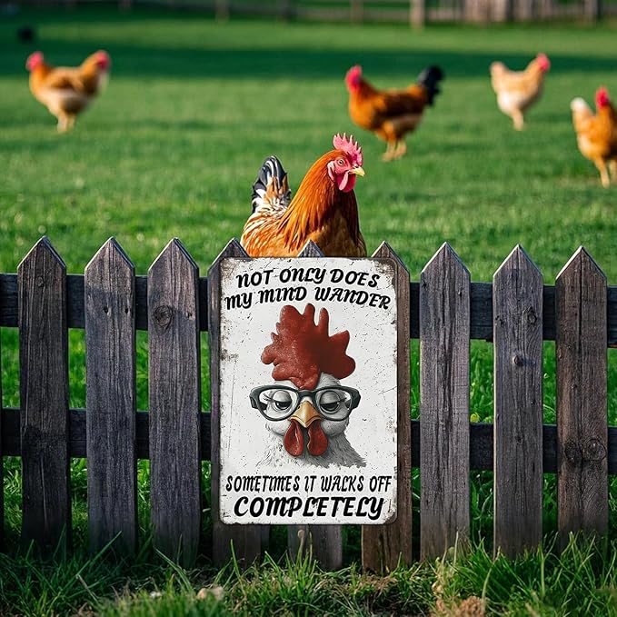 Funny Chicken Signs Not Only Does My Mind Wander Aluminium Sign Metal Chicken Signs Decor Home Ktichen Farm Are Wall 12x16 Inch Vintage Chicken Signs For Coop Metal Tin Signs Poster