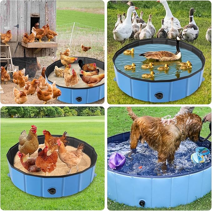 Chicken Dust Bath Tub (32'' D * 8'' H), Foldable Design Extra Tough PVC Material Chicken Coop Lime, Dust Bath for Chickens, Chicken House Cleaner Container, Essential Chicken Coop Accessories Blue