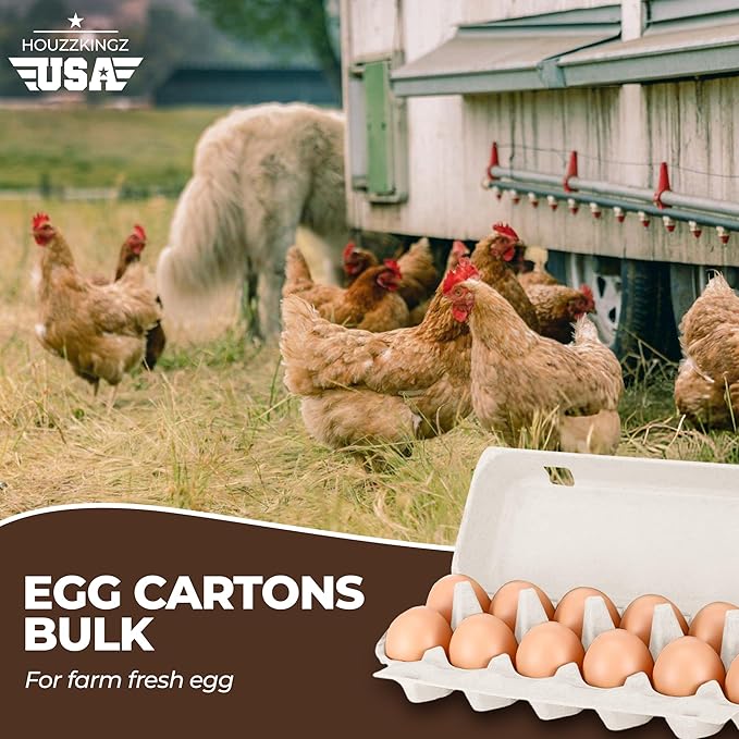 Natural Pulp One Dozen Egg Cartons – 20 Pack - Cheap Bulk 12 Eggs Crates Storage Containers Reusable - Recycled Blank Egg Carton Fits One Dozen Extra Large Eggs for Produce Stands and Grocery Stores