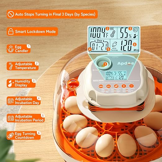 Chicken & Quail Egg Incubator, 2 Egg Trays, Automatic Egg Turning with Auto Stop, Humidity Control, Adjustable Incubation Day & Period, Auto Water Refill, Egg Candler, Clear View, APDOE HatchElite 12