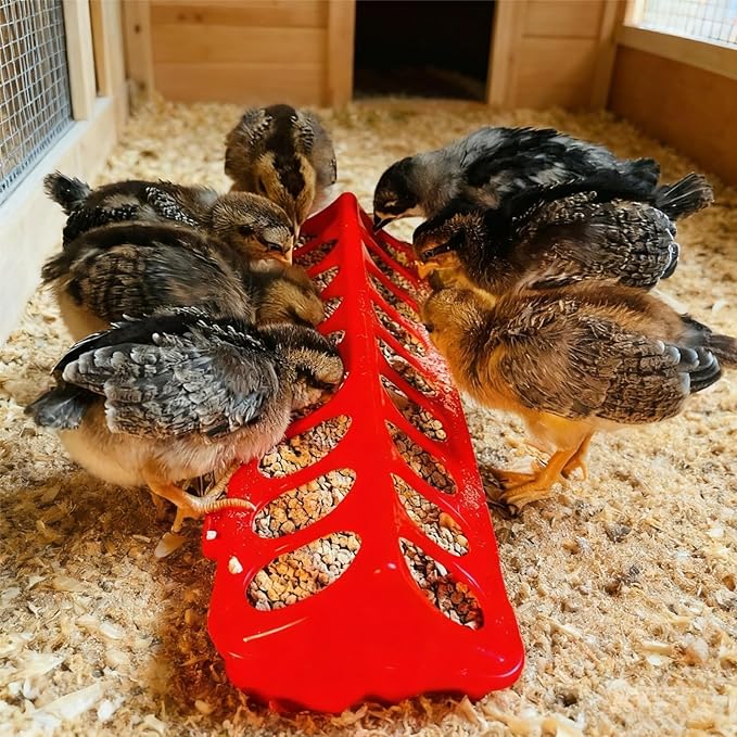 2 Pack Chicken Feeder 16 Holes Chick Feeder No Waste 30cm Chicken Feeder and Waterer Set Poultry Feeders for Chicken Chick Birds Pigeon Coop