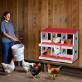 Chicken Nesting Boxes, 6 Compartments Nesting Boxes, Metal Chicken Laying Box with Roll Out Egg Collection with Vented Holes for Hens, Red