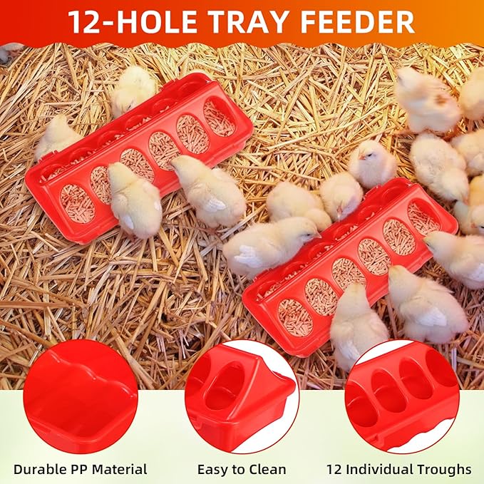 4 Pcs Heated Chicken Waterer for Winter, Poultry Feeder, Poultry Heated Constant Temperature Fountain with Leg Support for Chicken Coop Chicks Birds (6l)