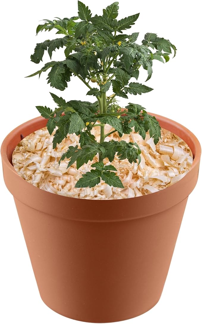 Garden Soils, Mulches and Rocks (Pine Shavings, 4 Quarts)