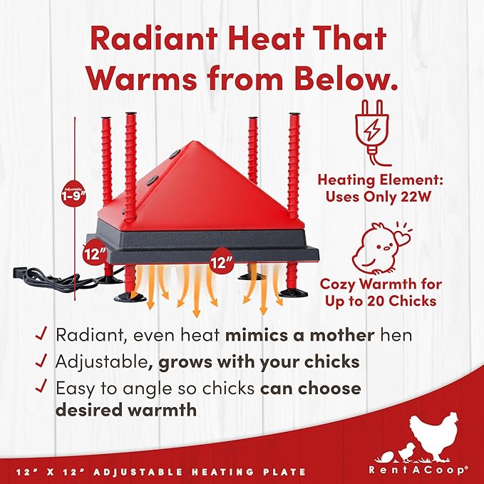 RentACoop 12x12” Adjustable Heating Plate with Bonus Foldable Anti-Roost Cone for up to 20 Chicks | Chick Brooder Heat Plate – Energy-Efficient 22-Watt Chick Heater - Safer Than Heat Lamps